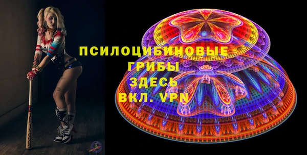 ешки Пролетарск