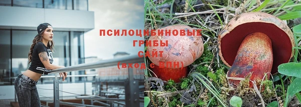 ешки Пролетарск