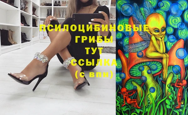 прущие крисы Новосибирск
