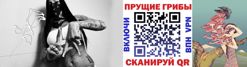 Псилоцибиновые грибы Magic Shrooms  Заполярный 
