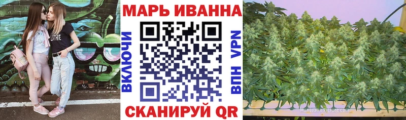 Марихуана планчик Заполярный